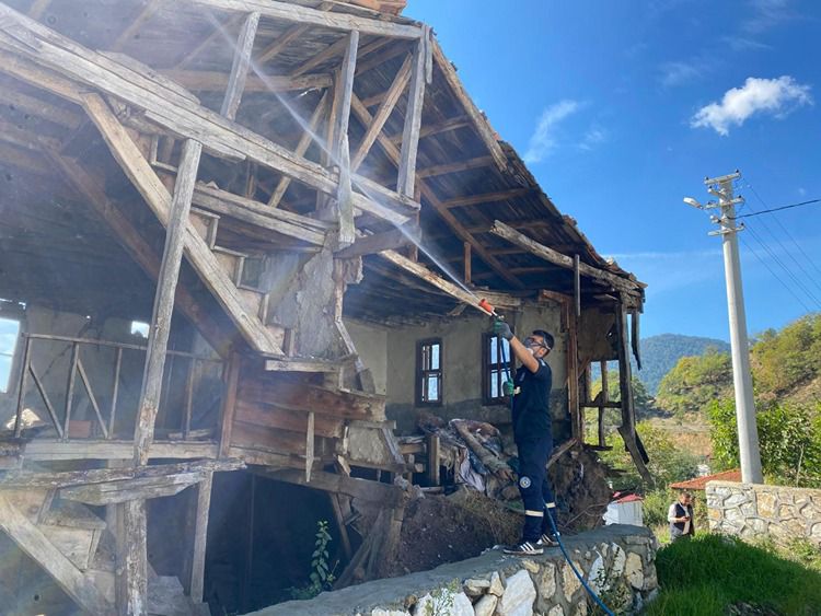 Sakarya’da kahverengi kokarca yıl boyu sıkı takibe alındı Fındık başta