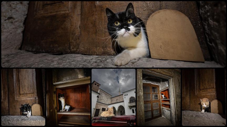 Şerbet, Mülayim’in İzinde Topkapı Sarayı’nın Harem bölümünde bulunan ve Osmanlı