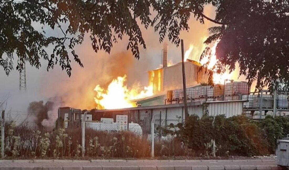 Afyonkarahisar Organize Sanayi Bölgesindeki bir yağ fabrikasının kazan dairesi bölümünde
