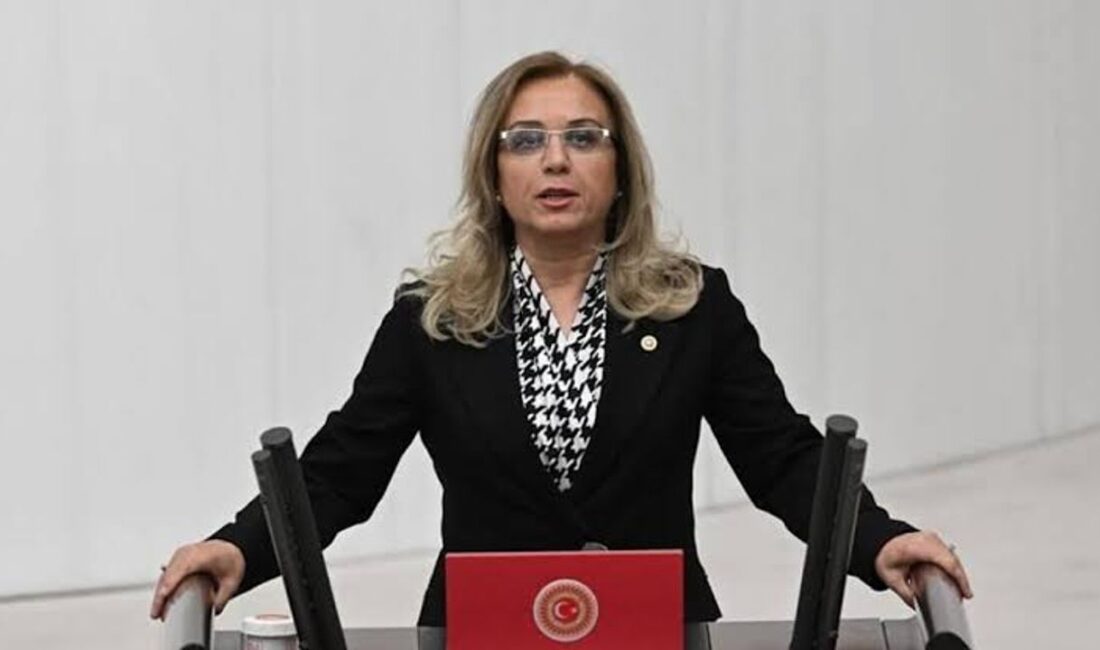 Filiz Kılıç, “serbest piyasa” kılıfıyla yapılan stokçuluğu ve fahiş fiyat