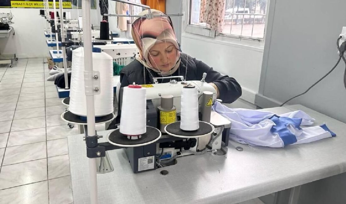Çalışma ve Sosyal Güvenlik Bakanlığı’na bağlı İŞKUR, kadın istihdamını artırmak