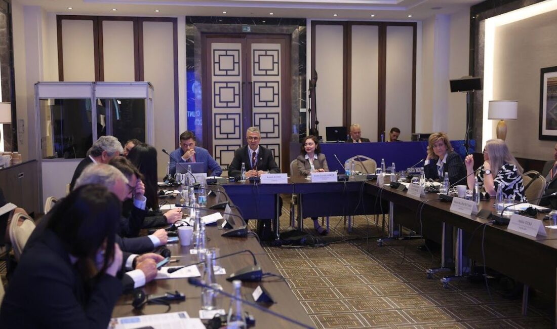 Kamil Aydın, AGİT PA 23. Sonbahar Genel Kurulu’nda gençlerin radikalleşme riskine