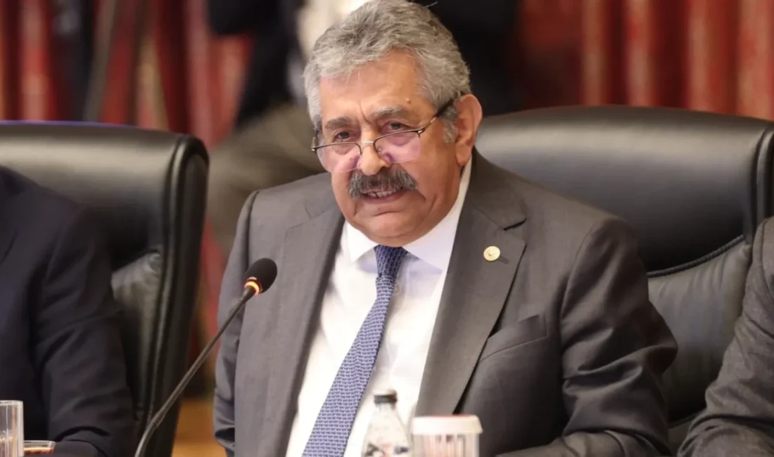 MHP Genel Başkan Yardımcısı Feti Yıldız, Anayasa'nın 68 ve 69.