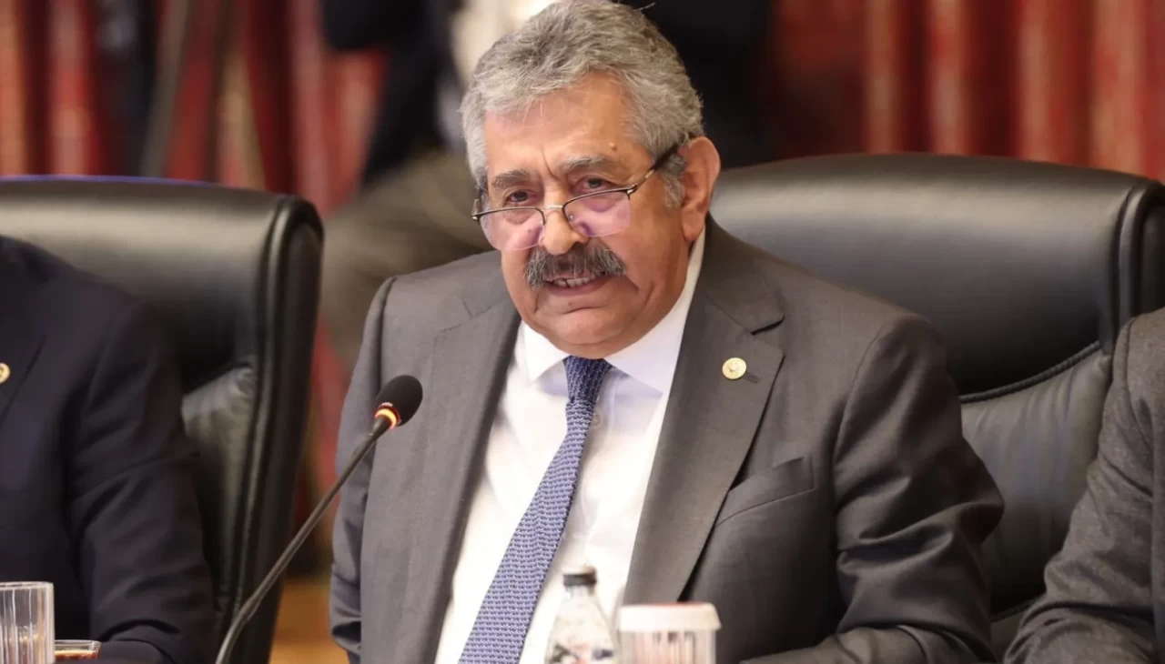 MHP Genel Başkan Yardımcısı Feti Yıldız, Anayasa'nın 68 ve 69.