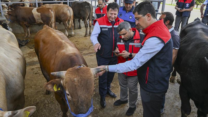  Kurban Bayramı’na sayılı günler kala, vatandaşların sağlıklı, güvenilir ve