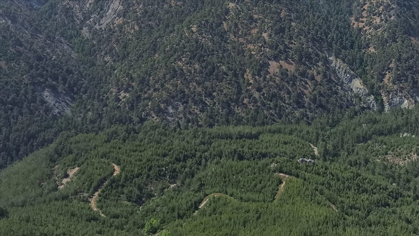 Muğla’da yangın riski nedeniyle ormanlara giriş yasağı uygulanacak. 