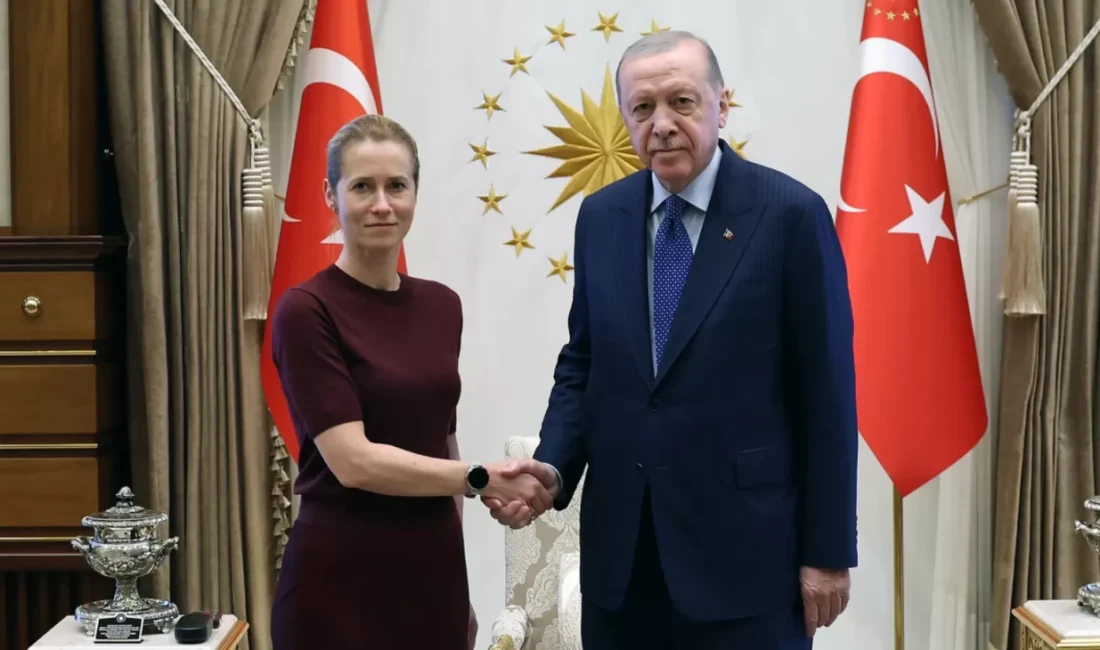 Cumhurbaşkanı Recep Tayyip Erdoğan, Avrupa Birliği (AB) Dış İlişkiler ve