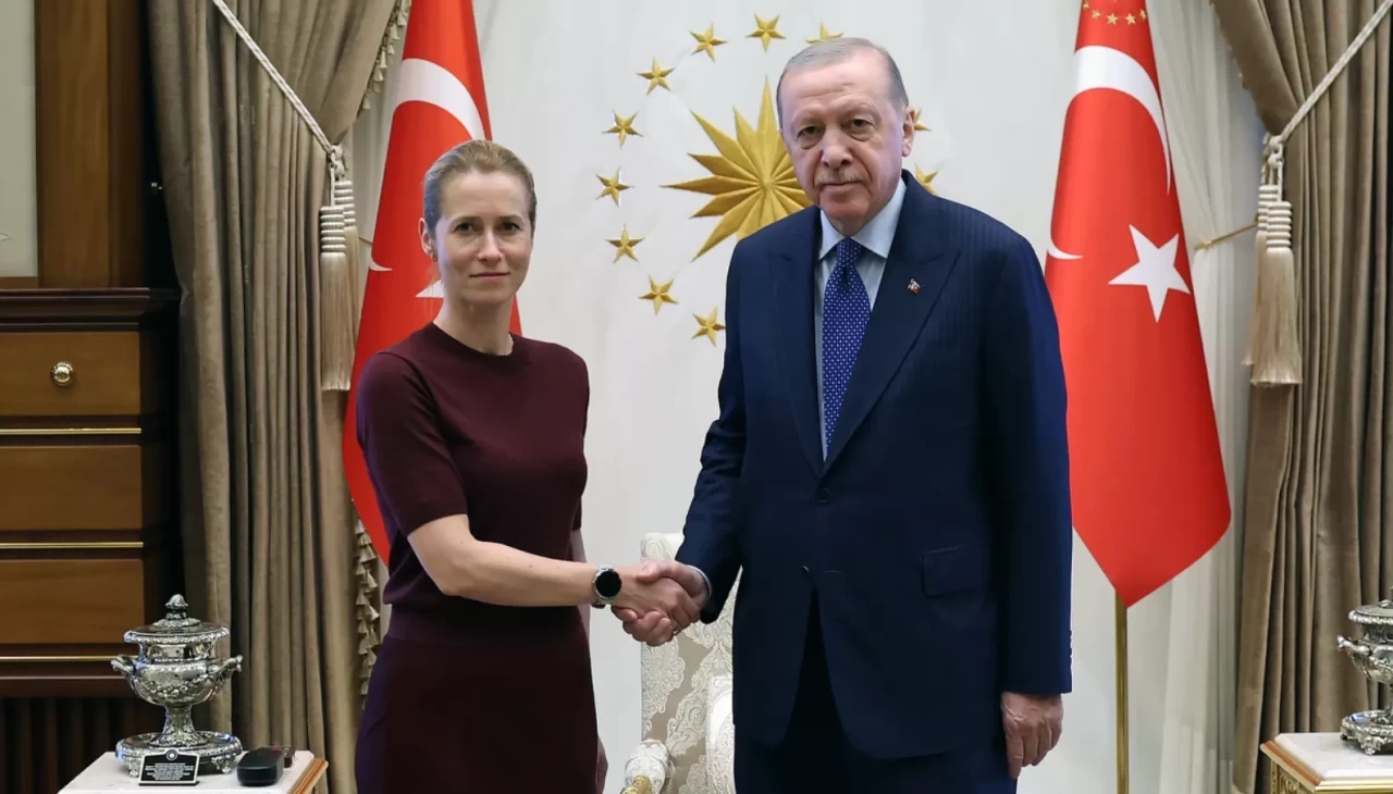 Cumhurbaşkanı Recep Tayyip Erdoğan, Avrupa Birliği (AB) Dış İlişkiler ve