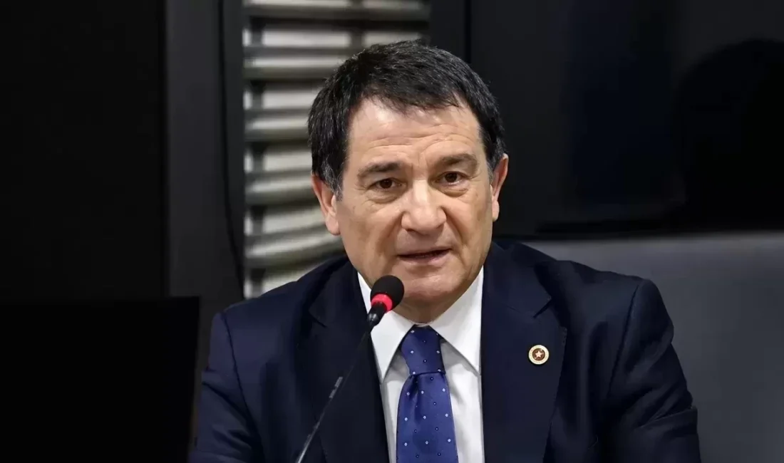 Milliyetçi Hareket Partisi (MHP) Genel Başkan Yardımcısı İsmail Faruk Aksu,