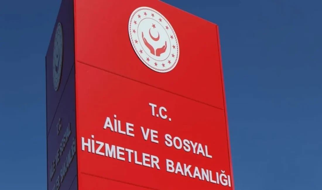 Aile ve Sosyal Hizmetler Bakanlığı, sosyal hizmet ve sosyal yardım