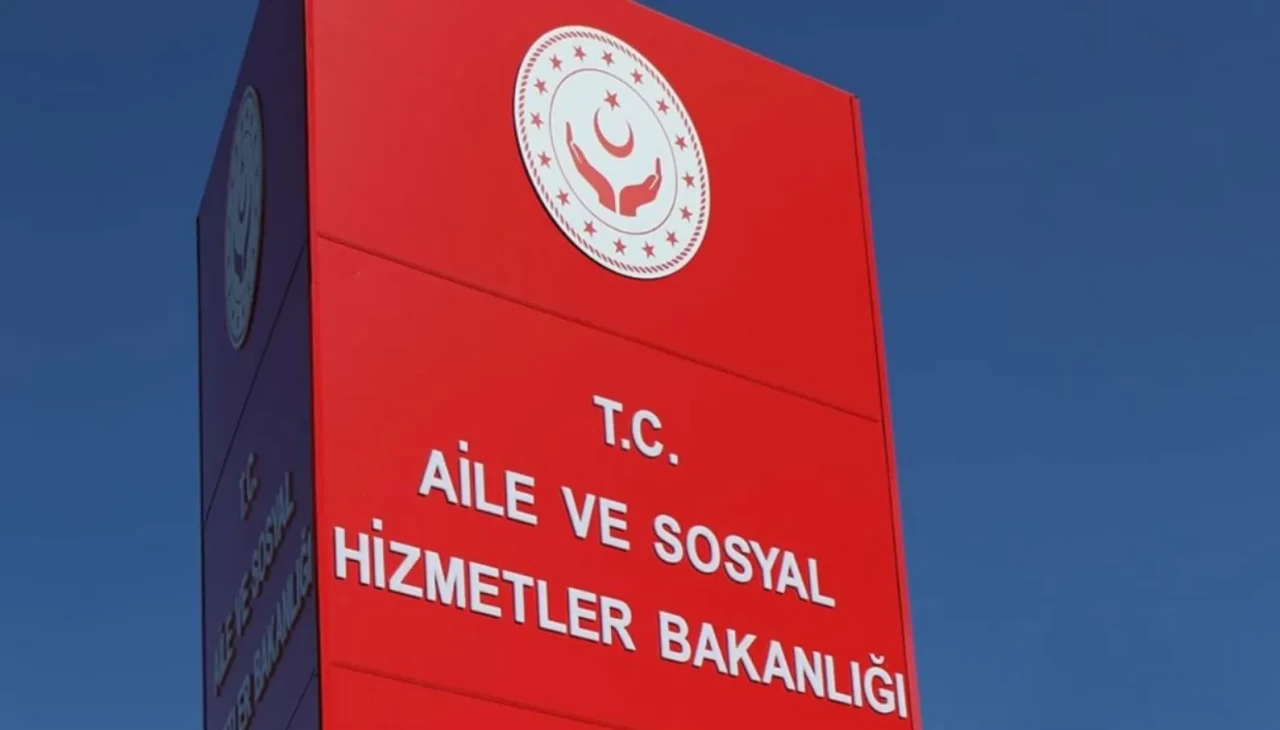 Aile ve Sosyal Hizmetler Bakanlığı, sosyal hizmet ve sosyal yardım