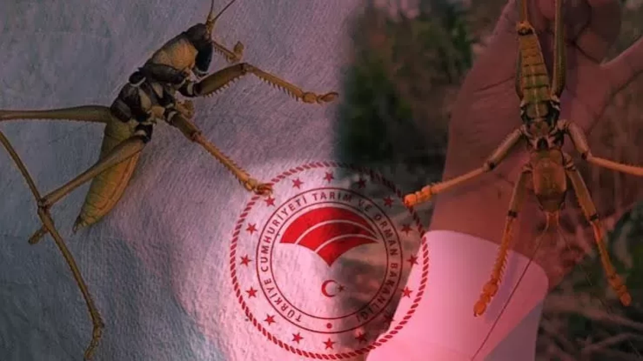 Tarım ve Orman Bakanlığı, sosyal medyada ve bazı basın organlarında