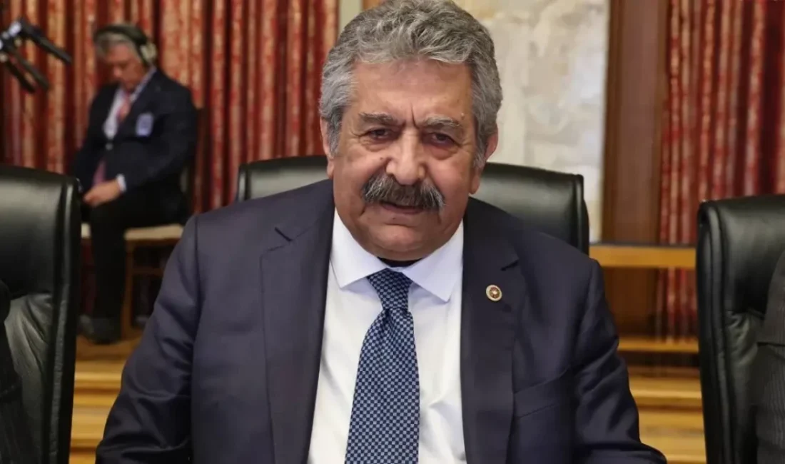 Milliyetçi Hareket Partisi (MHP) Genel Başkan Yardımcısı Feti Yıldız, MHP