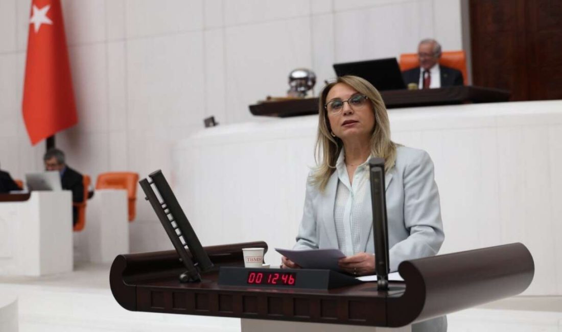 MHP Grup Başkanvekili Filiz Kılıç, TBMM Genel Kurulu’nda yaptığı konuşmada