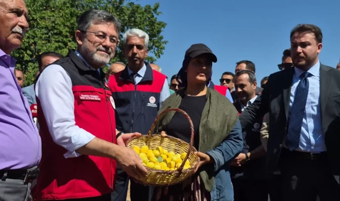 Tarım ve Orman Bakanı İbrahim Yumaklı, Malatya'da katıldığı kayısı hasadında