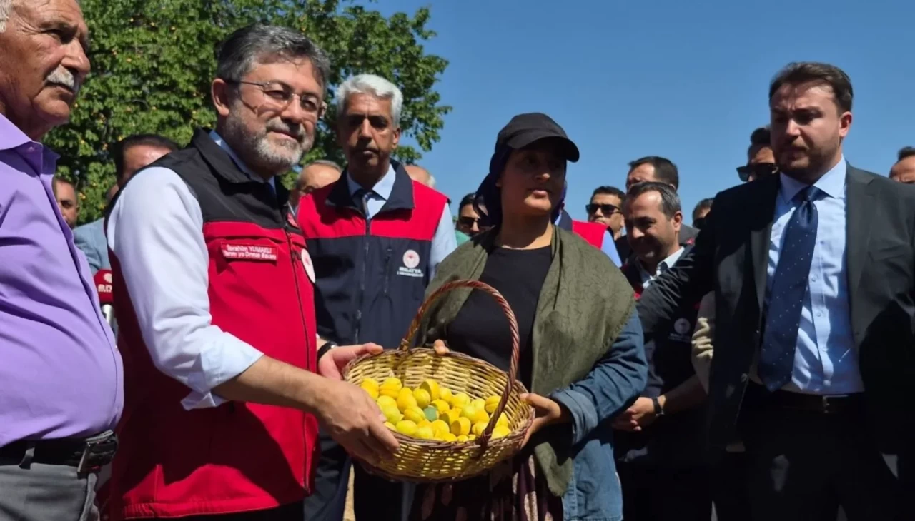 Tarım ve Orman Bakanı İbrahim Yumaklı, Malatya'da katıldığı kayısı hasadında