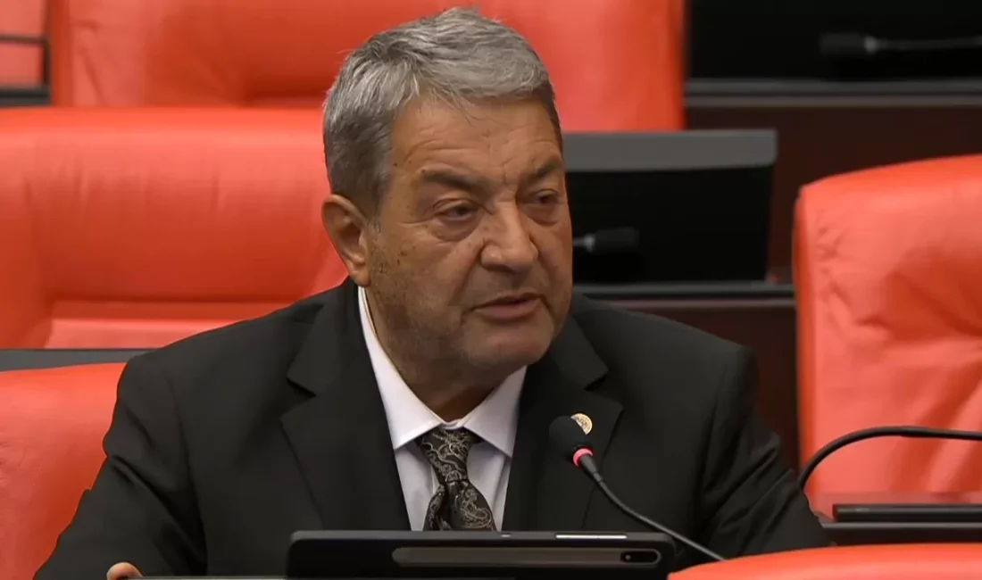Milliyetçi Hareket Partisi (MHP) Malatya Milletvekili Mehmet Fendoğlu, TBMM Genel