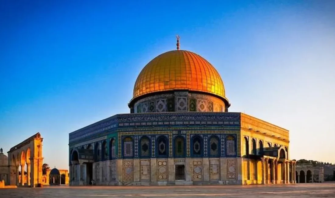 Türkiye, Birleşik Arap Emirlikleri, Endonezya, Katar, Mısır, Pakistan, Suudi Arabistan