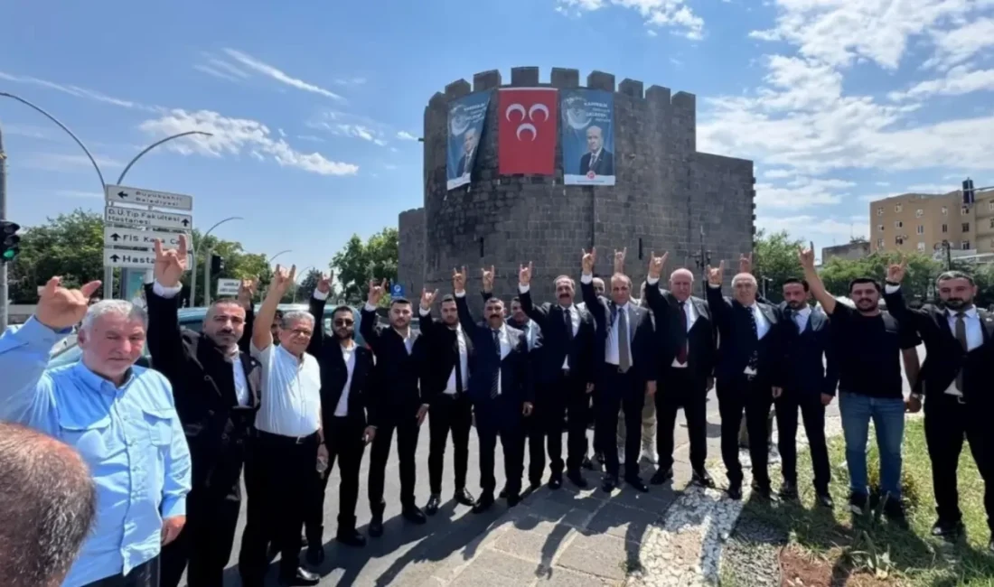 Milliyetçi Hareket Partisi (MHP) Gümüşhane Milletvekili ve TBMM İnsan Hakları