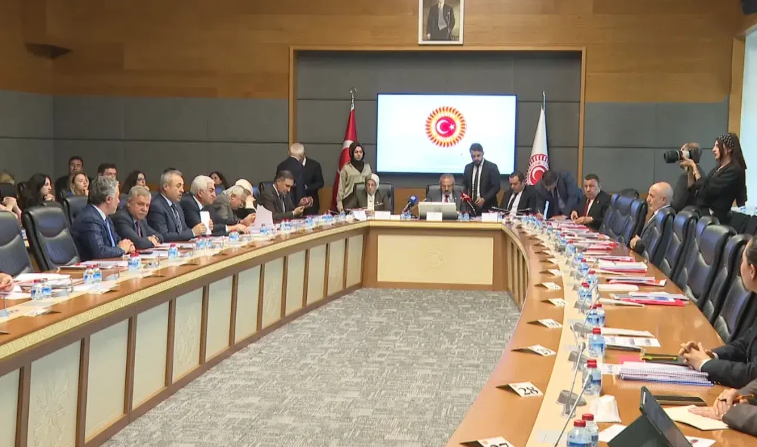 Şanlıurfa Suruç, Kahramanmaraş ve İstanbul Çekmeköy'deki okul saldırılarının ardından TBMM