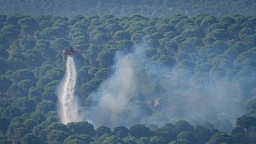 Tarım ve Orman Bakanı İbrahim Yumaklı, Muğla'nın Fethiye ilçesindeki orman