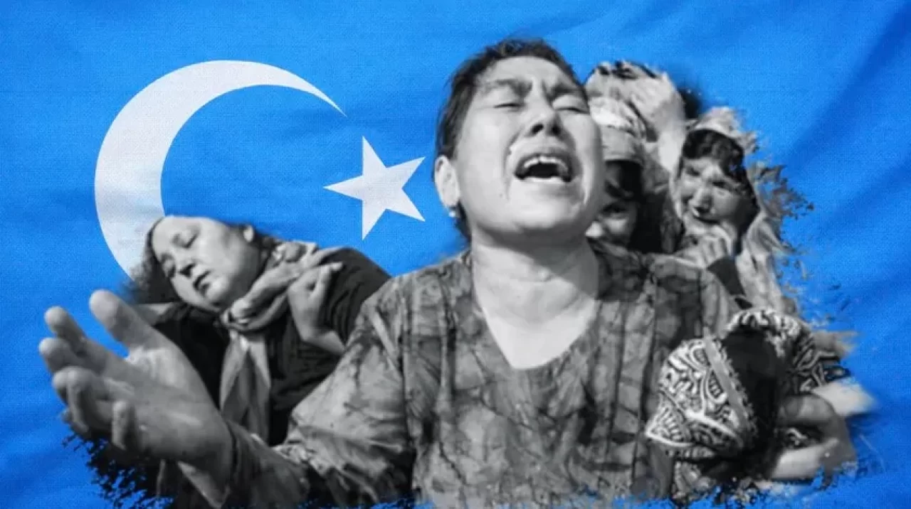 Milliyetçi Hareket Partisi (MHP), 5 Temmuz 2009 tarihinde Doğu Türkistan'ın