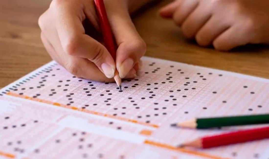 Milli Eğitim Bakanlığı (MEB), Uluslararası Diploma ve Sertifika Programları (UDSP)