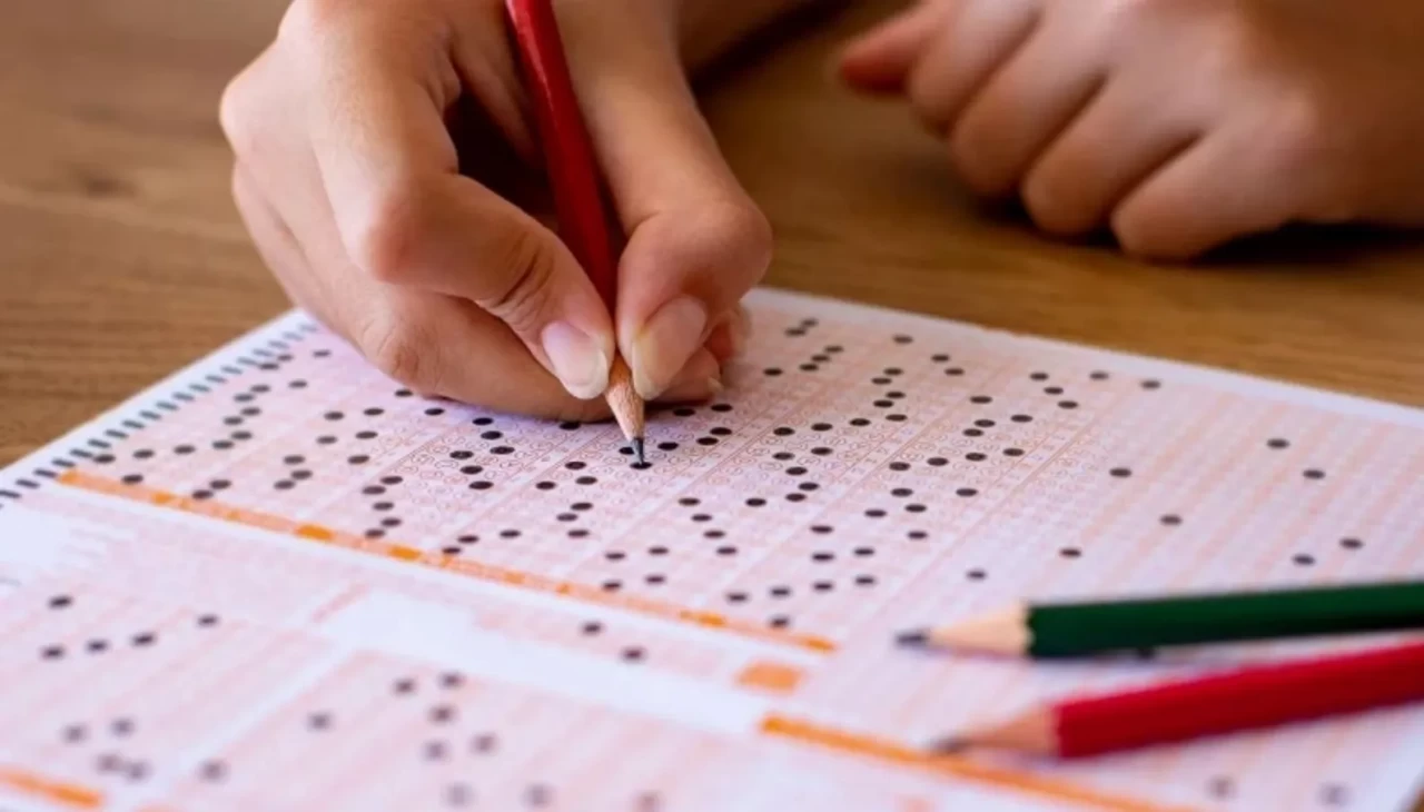 Milli Eğitim Bakanlığı (MEB), Uluslararası Diploma ve Sertifika Programları (UDSP)