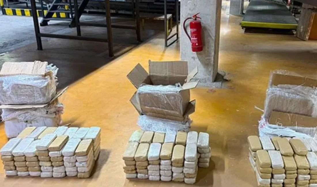 Ankara ve İstanbul polisinin ortaklaşa düzenlediği operasyonda, Van'dan kargoya verilerek