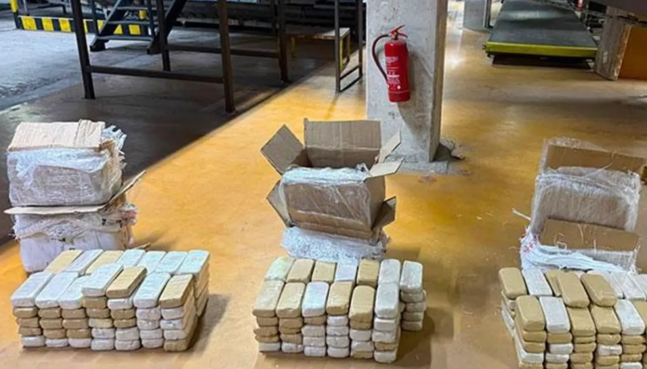 Ankara ve İstanbul polisinin ortaklaşa düzenlediği operasyonda, Van'dan kargoya verilerek