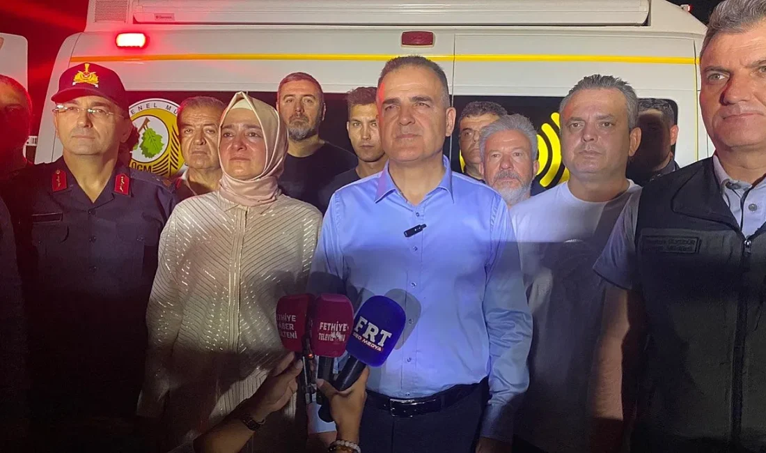 Muğla'nın Fethiye ilçesi Karagedik Mahallesi yakınlarındaki ormanlık alanda çıkan yangın,