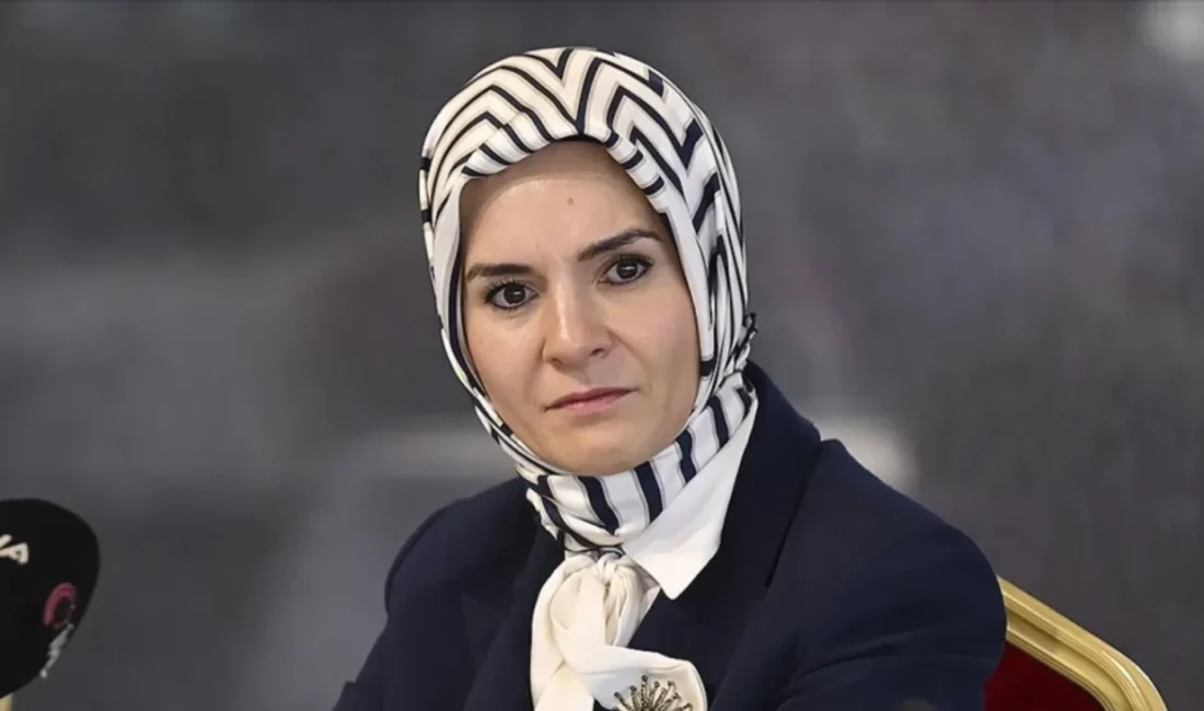 Aile ve Sosyal Hizmetler Bakanı Mahinur Özdemir Göktaş, TBMM Genel