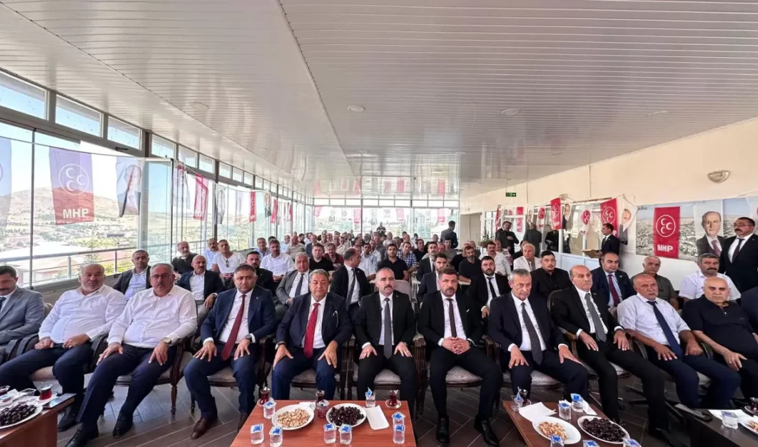 Milliyetçi Hareket Partisi (MHP) Malatya teşkilatları, Arguvan ve Arapgir ilçe