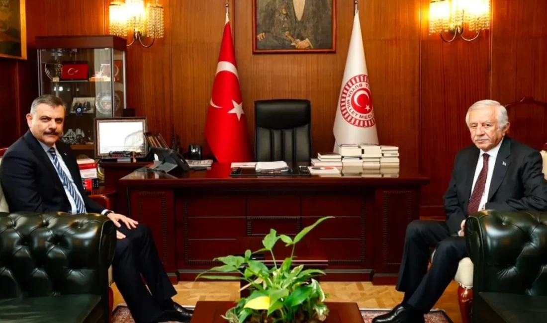 İçişleri Bakanı Mustafa Çiftçi, Türkiye Büyük Millet Meclisi (TBMM) Başkanvekili