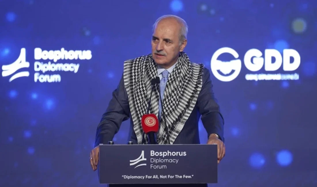 Türkiye Büyük Millet Meclisi Başkanı Numan Kurtulmuş, Demokrasi ve Özgürlükler