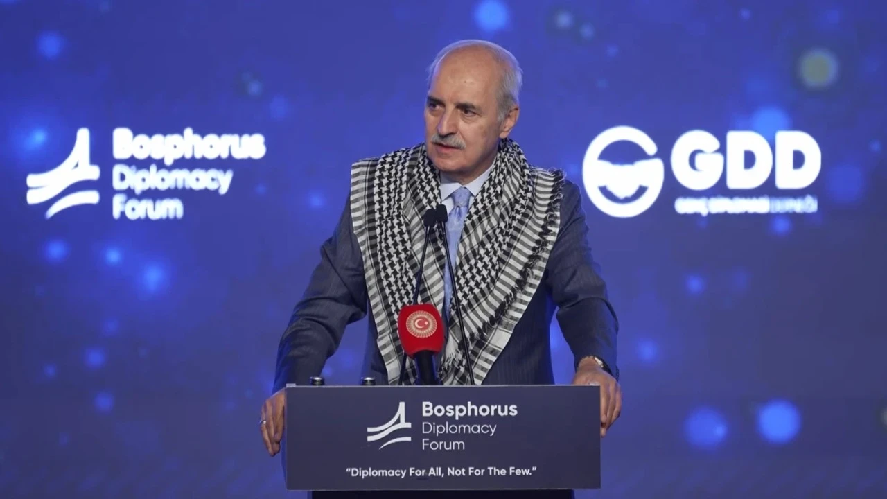 Türkiye Büyük Millet Meclisi Başkanı Numan Kurtulmuş, Demokrasi ve Özgürlükler