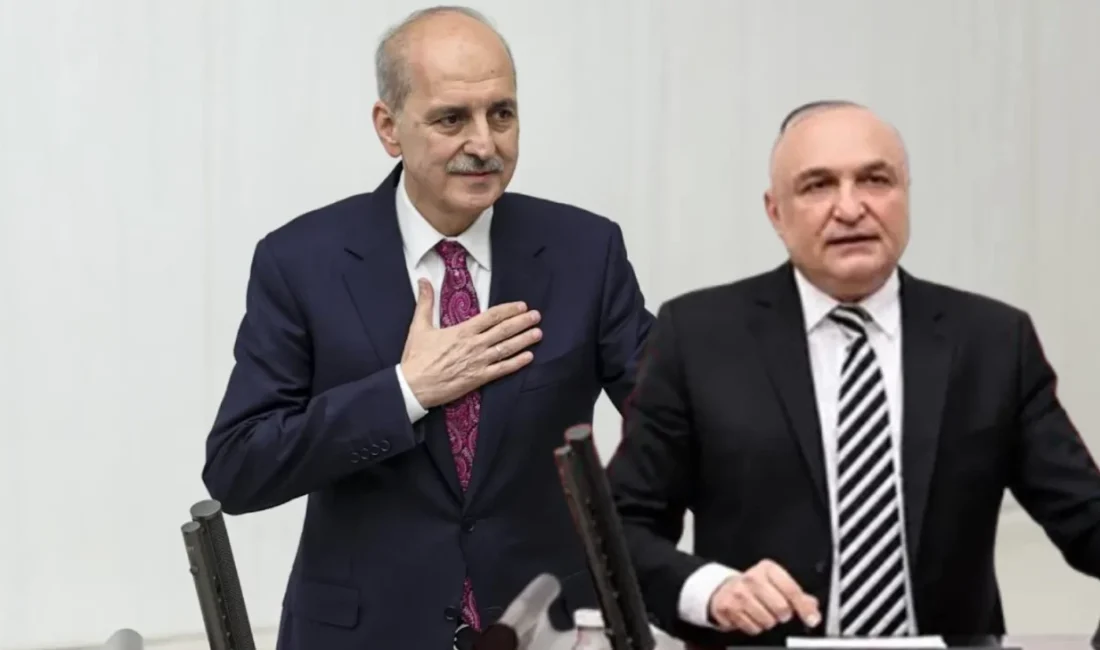 Türkiye Büyük Millet Meclisi (TBMM) Başkanı Numan Kurtulmuş, Yeni Parti