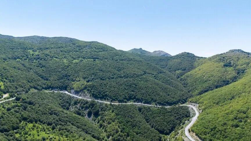 Tarım ve Orman Bakanlığına bağlı Orman Genel Müdürlüğü (OGM), 2026