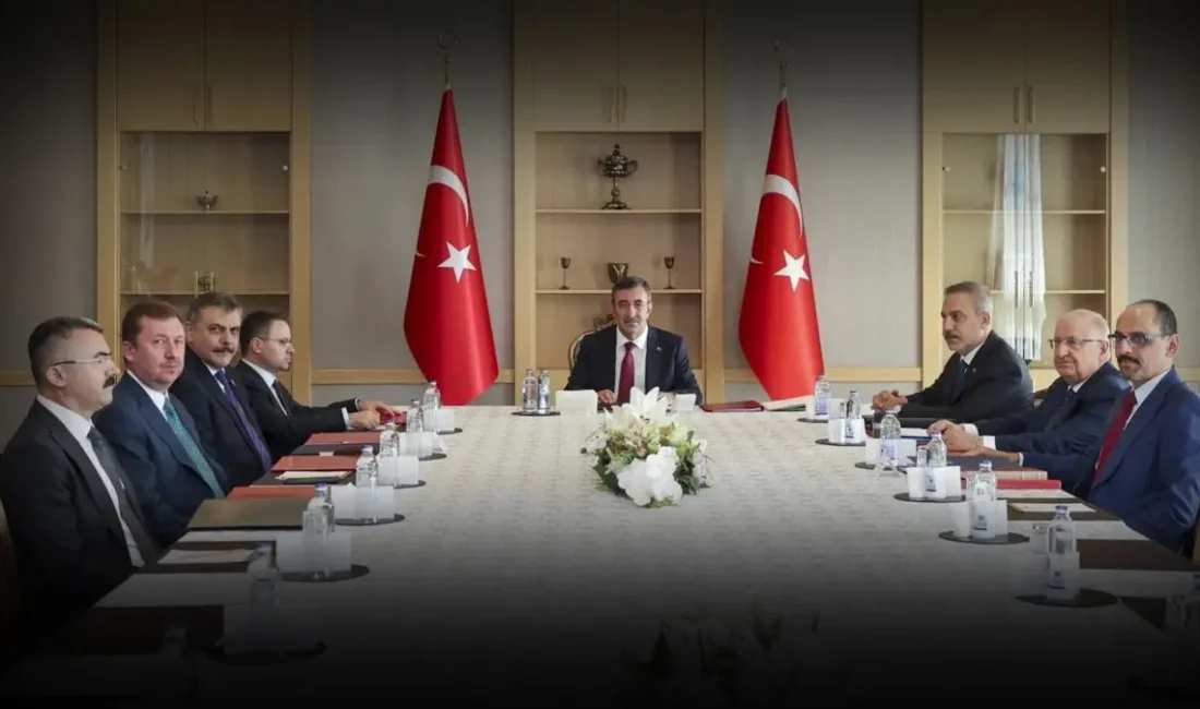 Milli Dayanışma ve Bütünleşme Koordinasyon Kurulu, Cumhurbaşkanı Yardımcısı Cevdet Yılmaz
