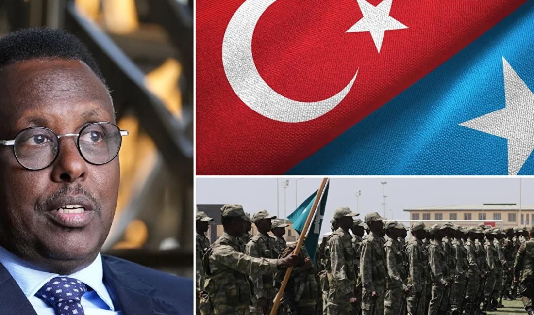 Somali Adalet ve Anayasa İşleri Bakanı Hassan Moallin Muhamoud Sheikhali,